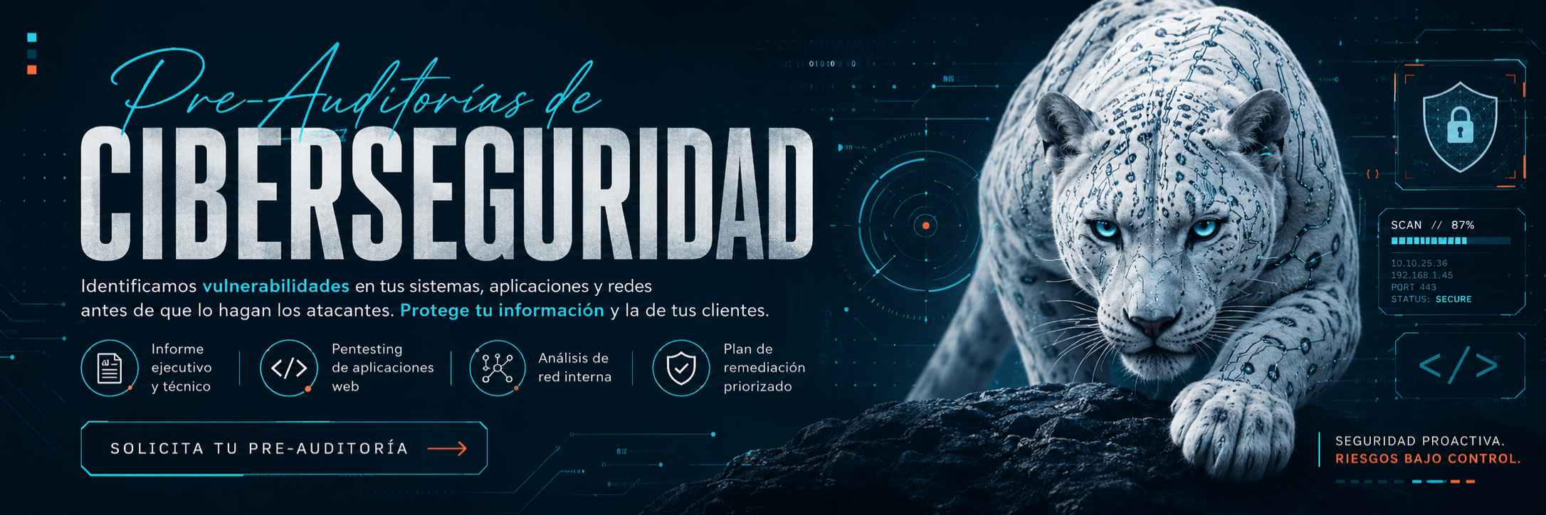 Pre-Auditorías de Ciberseguridad