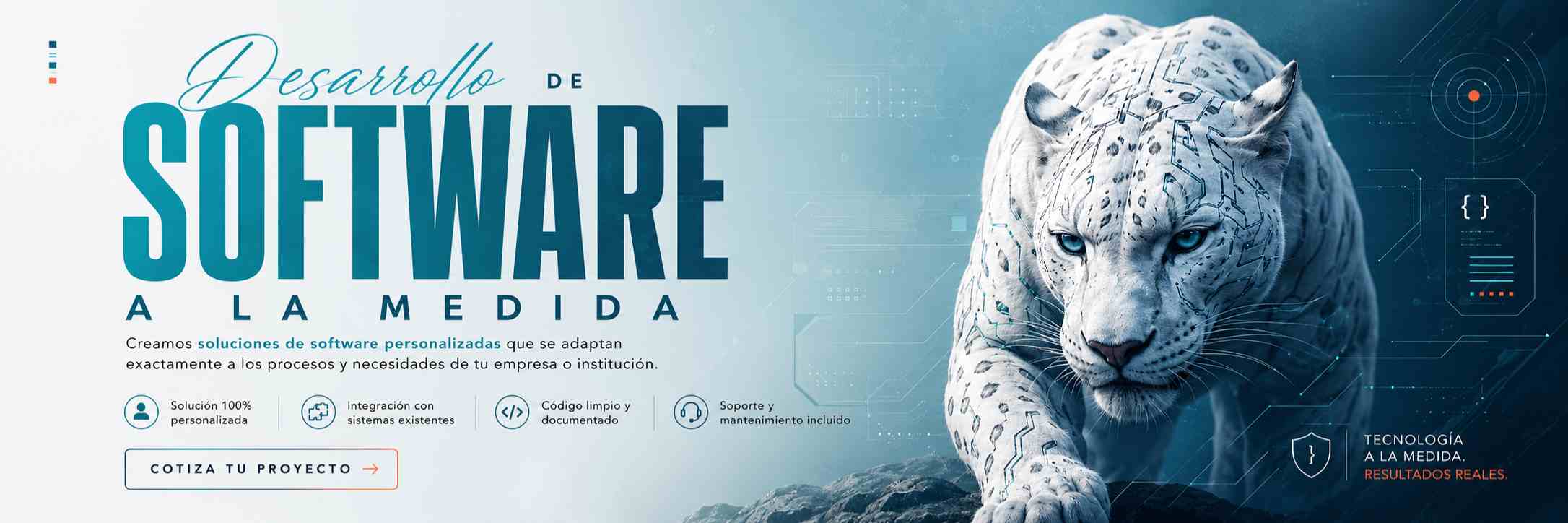 Desarrollo de Software a la Medida